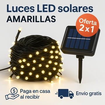 La Magia de la Navidad!