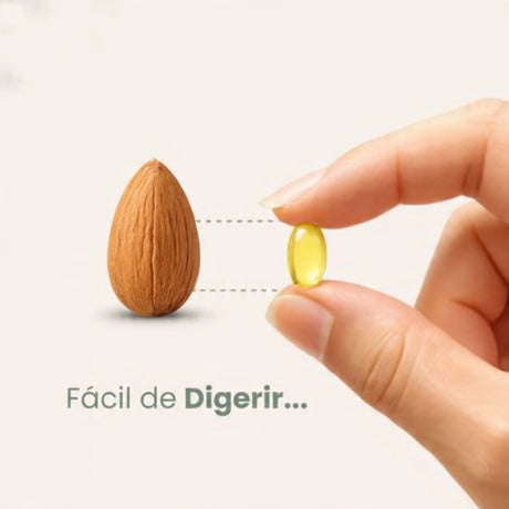 🍃 Aceite De Orégano 6000 Mg 60 capsulas - Refuerza tu Inmunidad de Forma Natural🍃