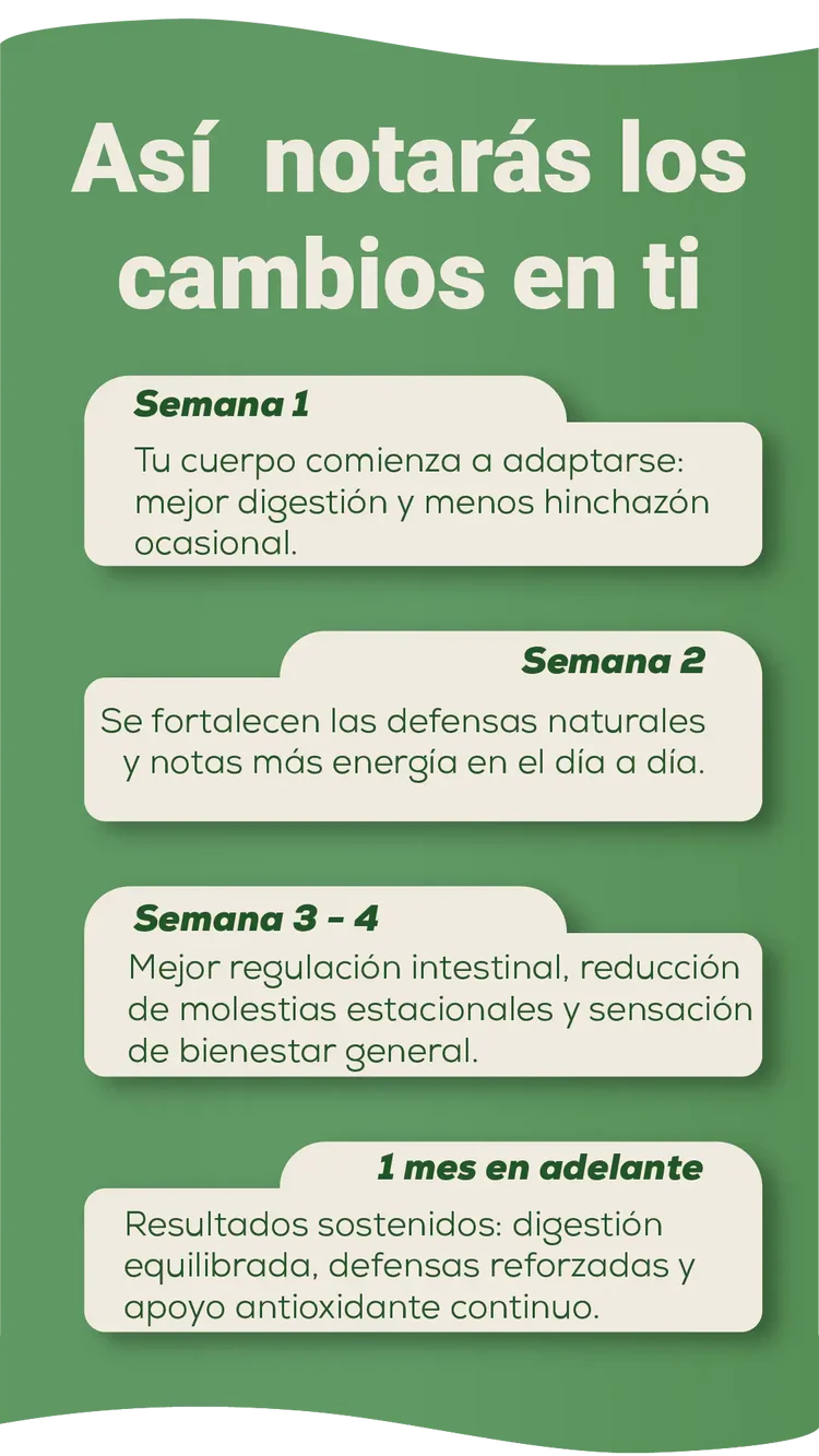 🍃 Aceite De Orégano 6000 Mg 60 capsulas - Refuerza tu Inmunidad de Forma Natural🍃